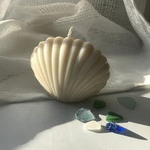 Load image into Gallery viewer, Vanilla Scented Large Shell Candle

